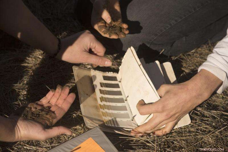 Soil Microbes: Key to Life and Climate Mitigation