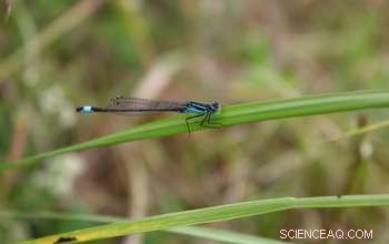 Global Precipitation Shifts Drive Natural Selection, Revealing Climate’s Hidden Evolutionary Impact