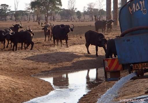 Delivering Life‑Sustaining Water to Kenya s Drought‑Affected Wildlife