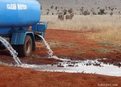 Delivering Life‑Sustaining Water to Kenya s Drought‑Affected Wildlife