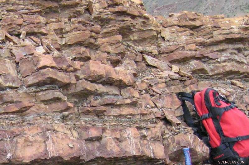 Unveiling the Timing of Global Regression and Microbial Bloom at the Permian‑Triassic Boundary