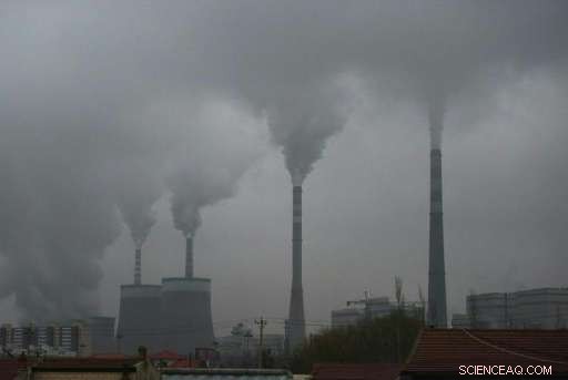 Environmental Activists Secure Landmark Climate Change Verdict in South Africa