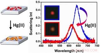 Gold Nanorods Pave Way for Compact, Portable Mercury Sensors