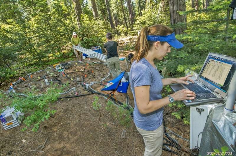 Soils May Release Significantly More Carbon Than Predicted as Climate Warming Accelerates