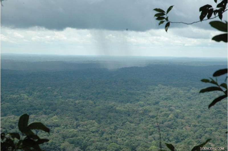 Carbon-Based Strategies for Protecting Rainforests Must Integrate Biodiversity Research