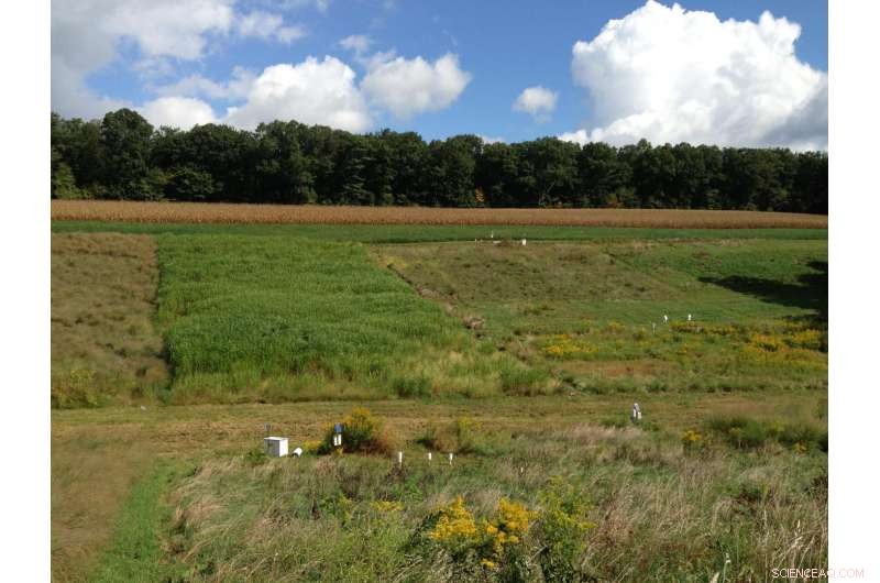 Energy Crops on Conservation Lands Offer Low‑Carbon Energy Potential