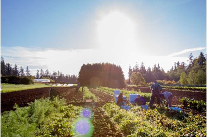 Organic Foods: A Key, But Not the Sole Ingredient for a Sustainable Food Future