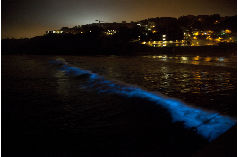 Scientists Reveal Predictive Model for Red Tide Events
