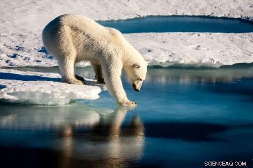 Study Finds Humans Responsible for Majority of Arctic Sea Ice Loss