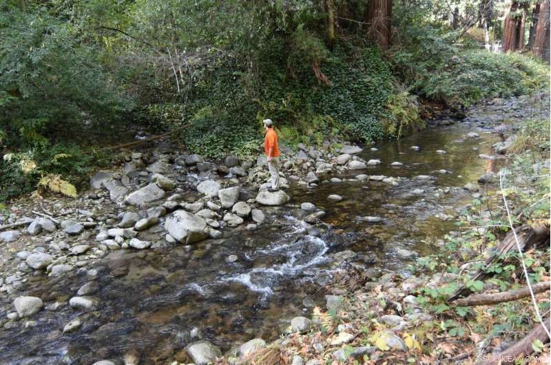 New Study Reveals How River Channels Adapt to High Sediment Loads