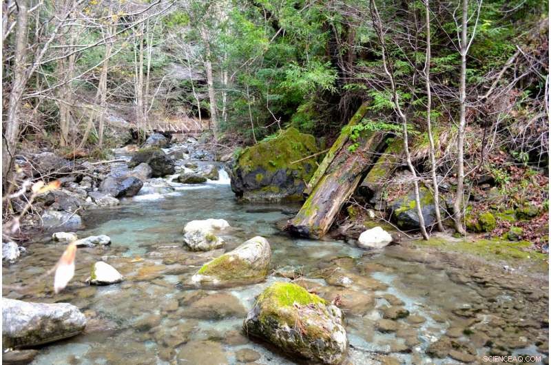 New Study Reveals How River Channels Adapt to High Sediment Loads