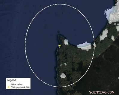 High-Quality Surf Breaks Drive Economic Growth, Study Finds