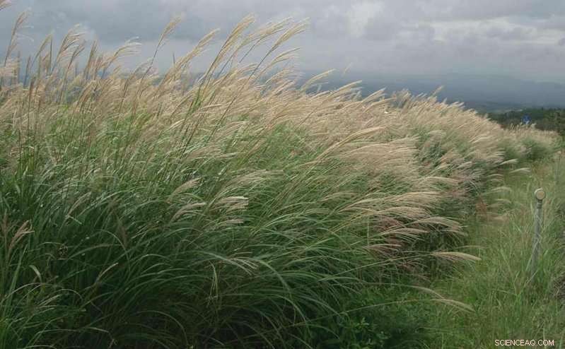 What Drives Farmers to Embrace New Practices