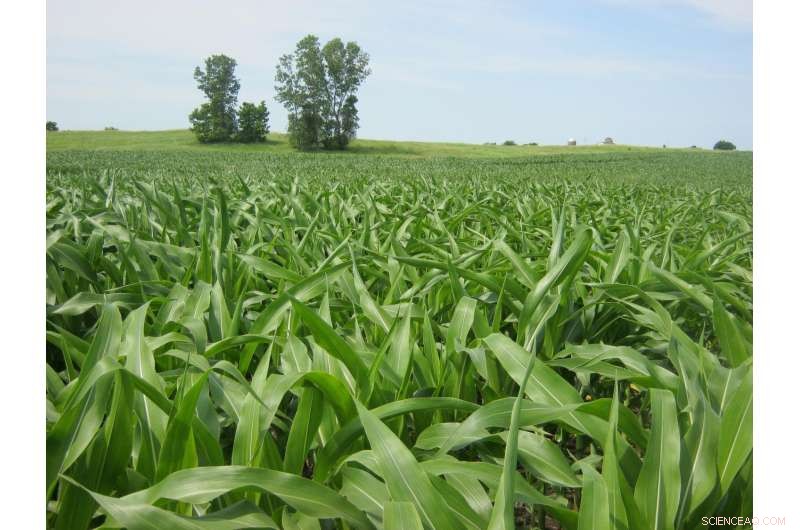 Study Reveals How Legacy Phosphorus Impairs Water Quality