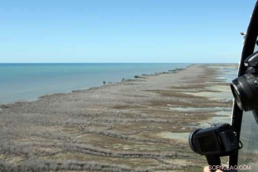 Record-Scale Drought Devastates Thousands of Hectares of Australian Mangroves