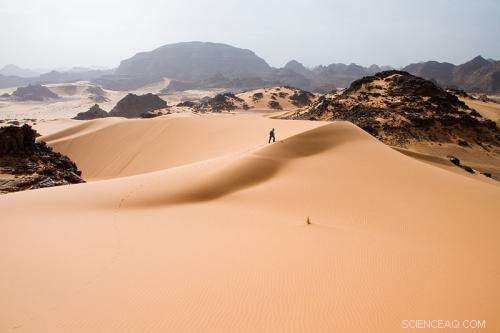 Did Human Activity Spark the Sahara Desert s Shift from Green to Arid?