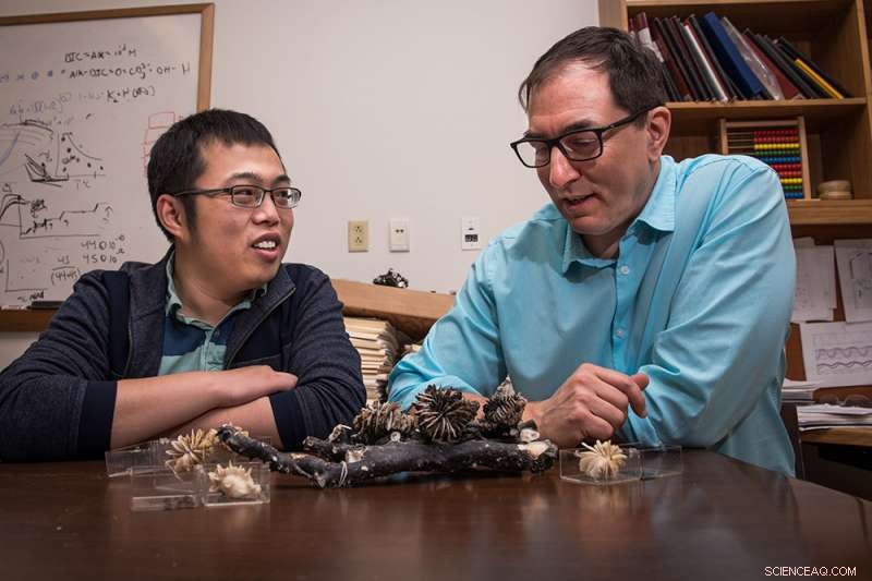 Deep-Sea Corals Unlock Secrets of Carbon Reduction in Cooler Climates