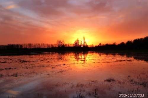 Natural Flood Prevention Measures: Valuable, Yet Not a Silver Bullet