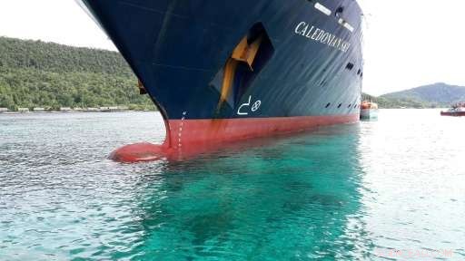Indonesia Commits to Action Following UK Cruise Ship Damage to Coral Reefs