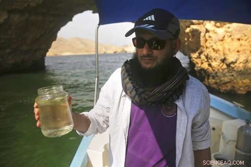 Algae Blooms in the Arabian Sea Expand Amid Climate Change