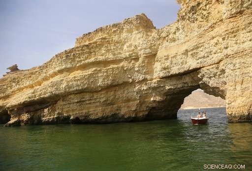Algae Blooms in the Arabian Sea Expand Amid Climate Change