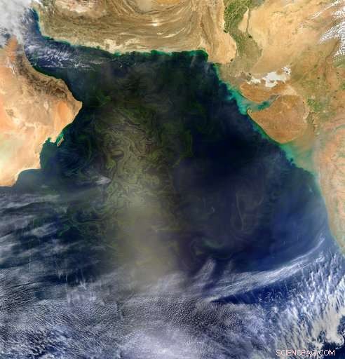 Algae Blooms in the Arabian Sea Expand Amid Climate Change