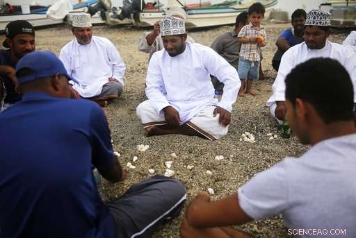 Algae Blooms in the Arabian Sea Expand Amid Climate Change