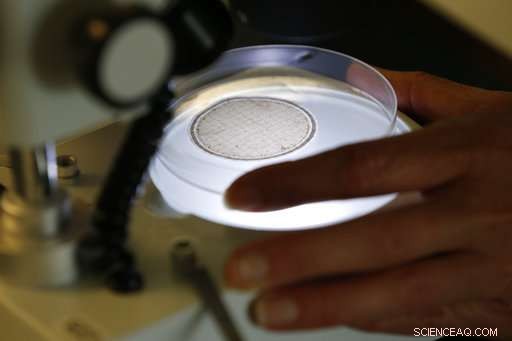 Could Your Yoga Pants Be Polluting the Ocean? Unveiling Hidden Plastic Sources