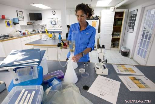 Could Your Yoga Pants Be Polluting the Ocean? Unveiling Hidden Plastic Sources