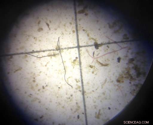 Could Your Yoga Pants Be Polluting the Ocean? Unveiling Hidden Plastic Sources