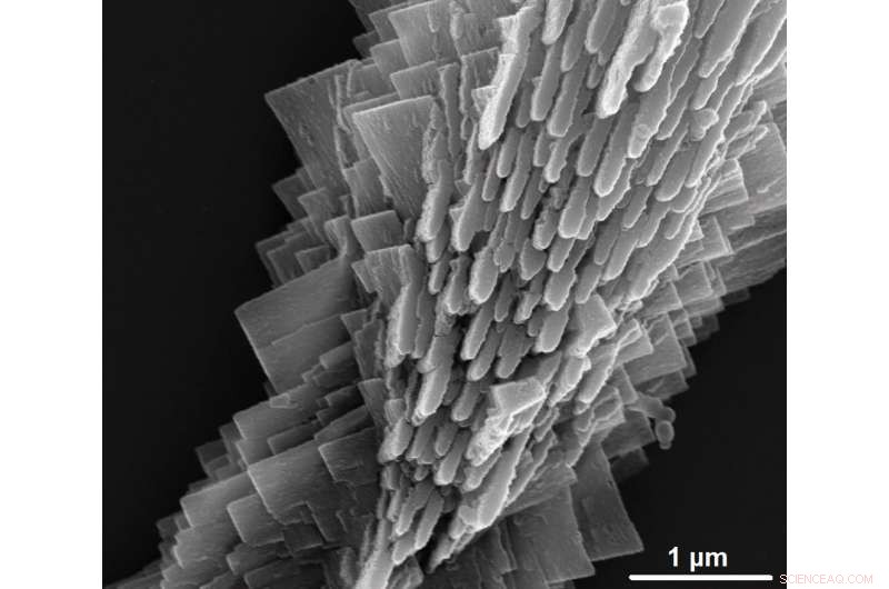 Scientists Uncover Inorganic Structures Mimicking Early Life: Fossils vs Chemistry