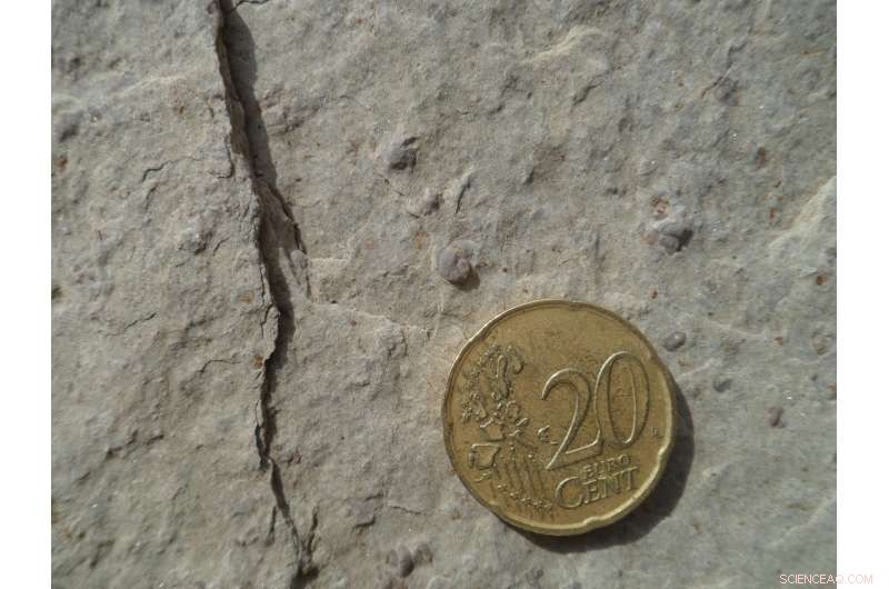 Recovery After Major Extinction Slowed by Subsequent Extinctions