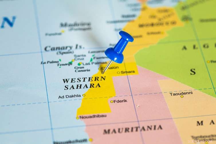 Phosphorus: The Life‑Sustaining Element Facing a Global Shortage