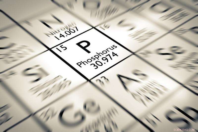 Phosphorus: The Life‑Sustaining Element Facing a Global Shortage