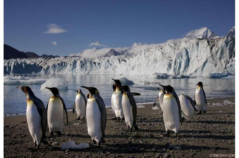 How a Massive Ice Cap Shaped South Georgia’s Last Ice Age Landscape