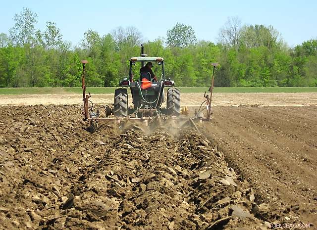 Boost Farm Profits with Poultry Litter as High-Value Fertilizer