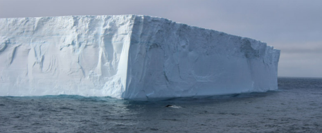 Tracing Freshwater Sources in the Ocean: A Journey to Antarctica