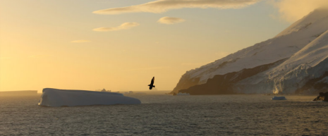 Tracing Freshwater Sources in the Ocean: A Journey to Antarctica