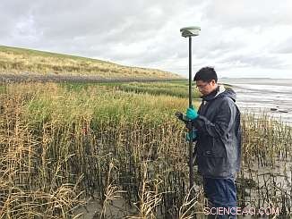 How Climate Change and Ecosystem Decline Threaten Natural Coastal Protection