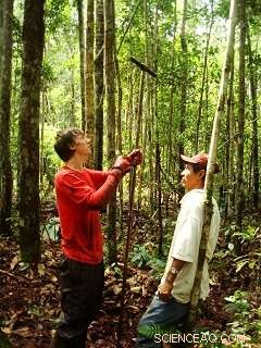 Critical New Peatlands in Amazonia and Africa Demand Immediate Protection to Halt Climate Damage