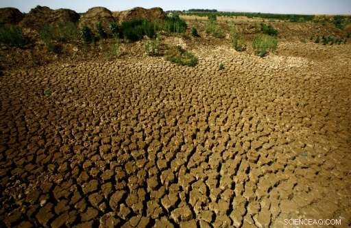 UNICEF Warns: 25% of Children Face Severe Water Scarcity by 2040
