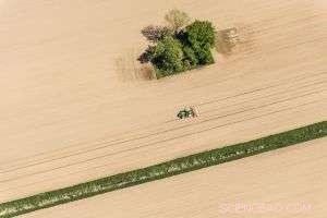 Overeating & Throwaway Culture Undermine Food Security & Harm the Planet