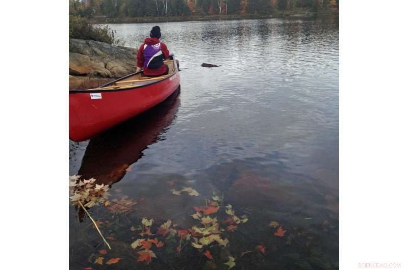 Study Confirms Lakes Draw Nutrients Mainly from Their Watersheds