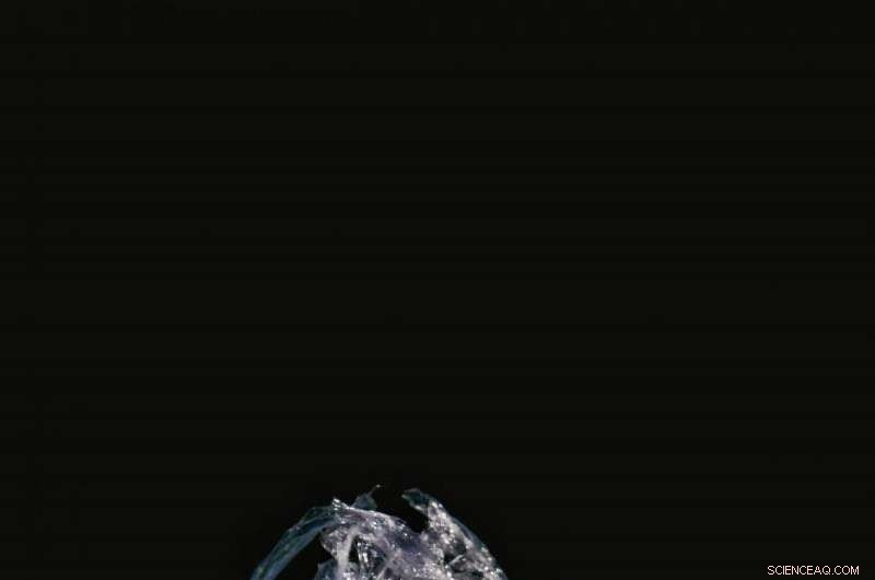 Leicester Scientists Address Critiques of the Proposed Anthropocene Epoch