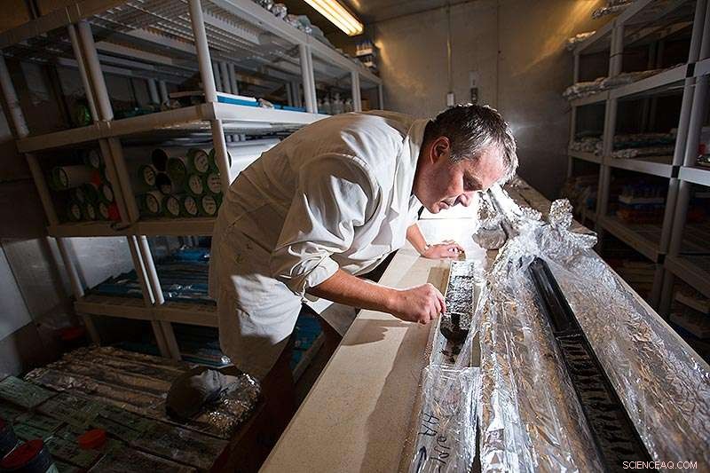 Study Finds Earthquakes Rapidly Lower Wetland Elevations