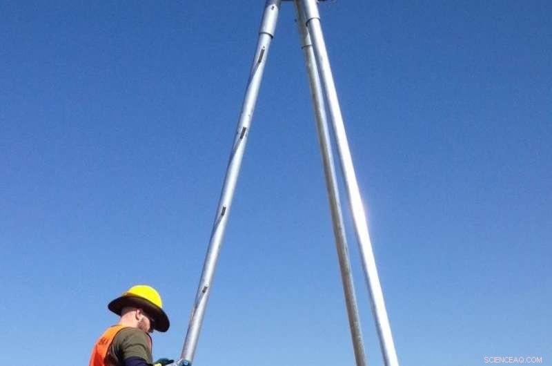 Study Finds Earthquakes Rapidly Lower Wetland Elevations