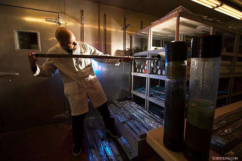 Study Finds Earthquakes Rapidly Lower Wetland Elevations