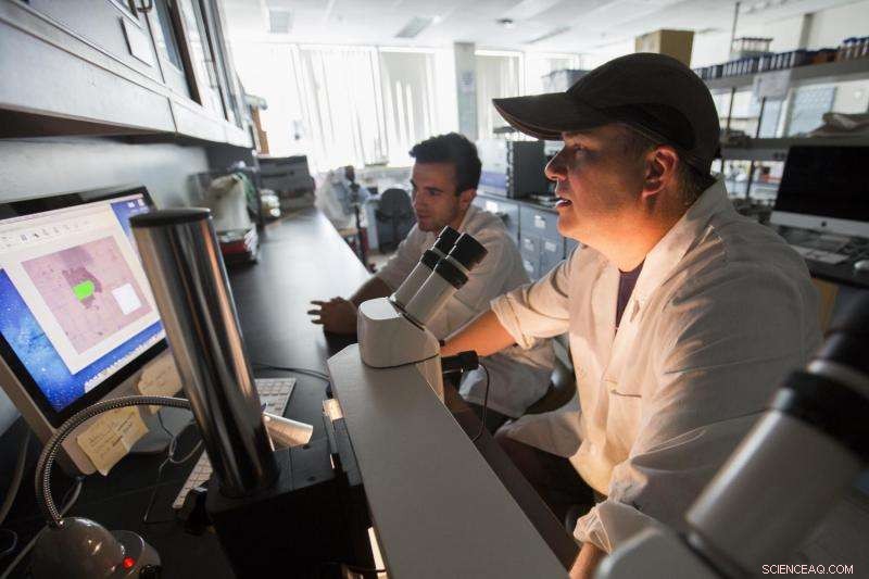 Study Finds Earthquakes Rapidly Lower Wetland Elevations