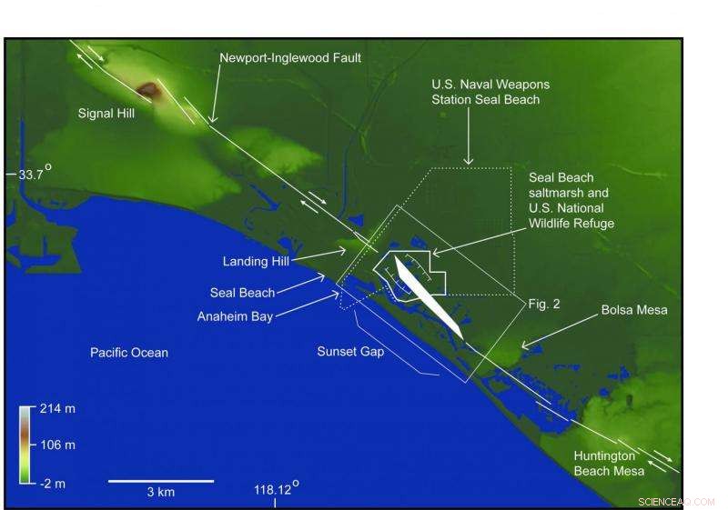 Study Finds Earthquakes Rapidly Lower Wetland Elevations
