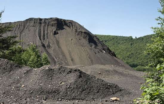 Rehabilitating Latrobe Valley Coal Mines: How Artificial Soils Offer Sustainable Restoration